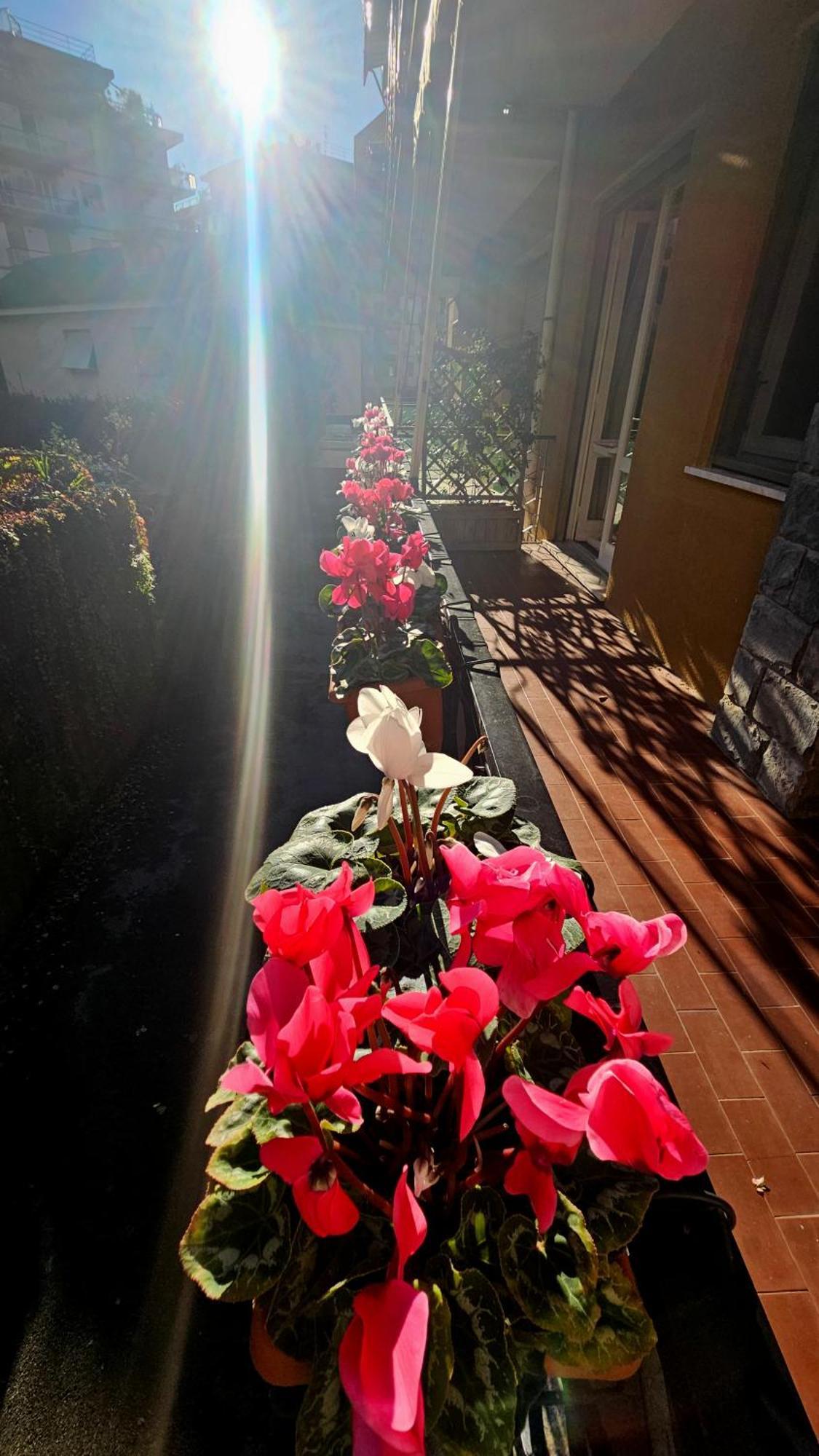 ラッパロCasa Con Giardino Vicino Al Mareアパートメント エクステリア 写真